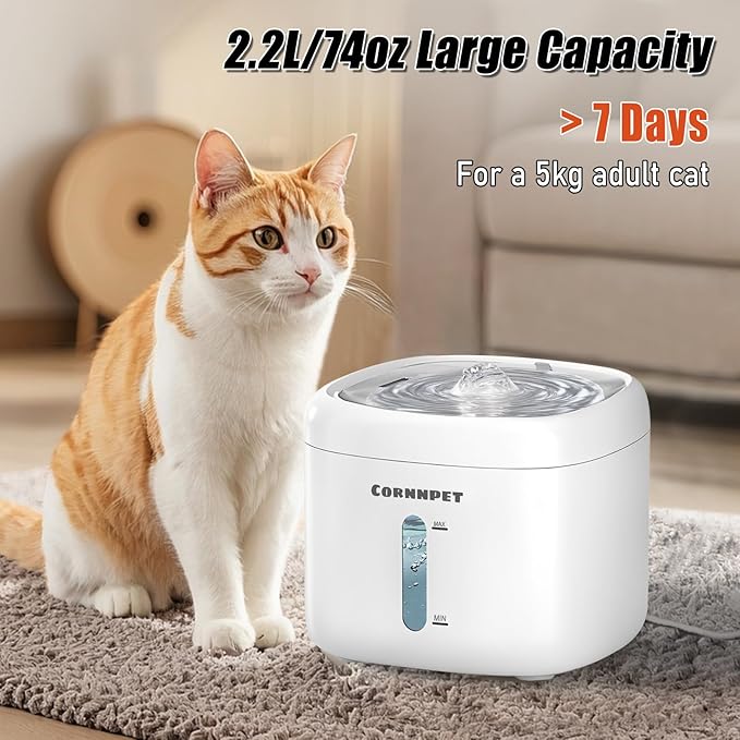 Stainless Steel Lid Cat Water Fountain 74Oz/2.2L for Drinking - Pet Fountain for Small Animal - Dogs Waterer Bowls Indoor