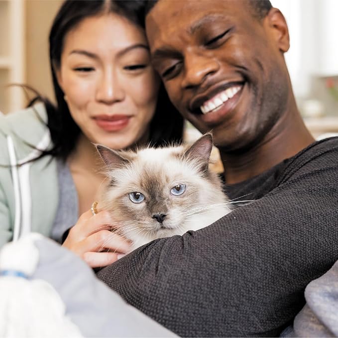 IAMS Proactive Health Indoor Weight Control & Hairball Care Adult Dry Cat Food, Chicken & Turkey Recipe, 3.5 lb. Bag