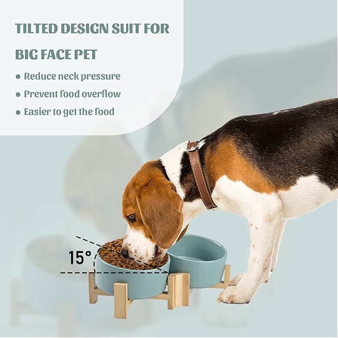 SPUNKYJUNKY 15° Slanted Ceramic Dog and Cat Bowl with Wooden Stand, Tilted Bulldog Food and Water Bowl No Slip Non-Spill for Cats Medium Dogs Big Face Pets 28.7 OZ (3.6 Cups, Light Green × 2)