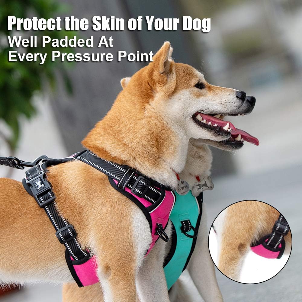 PoyPet No Pull Dog Harness, Reflective Comfortable Vest Harness with Front & Back 2 Leash Attachments and Easy Control Handle Adjustable Soft Padded Pet Vest for Small to Large Dogs (Mint Blue,S)