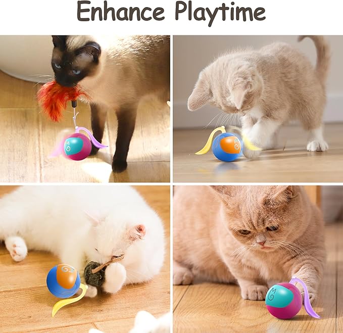 Migipaws Interactive Cat Ball Toy Set, Fun Tracker, Automatic Rolling Chase Ball with Fluffy Tail, A Small Mice, Rechargeable (Blue)