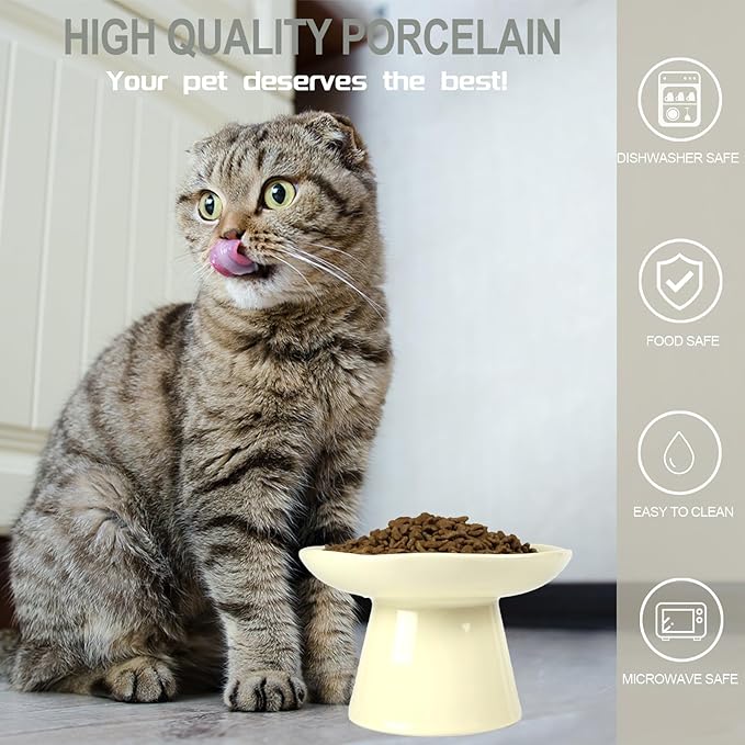 Wide Shallow 6.1" Raised Cat Bowls, Ceramic Elevated Food Plate for Flat Faced Cats and Small Dogs, Porcelain Feeder Bowl, Stress Free, Protect Cat’s Spine, Cream