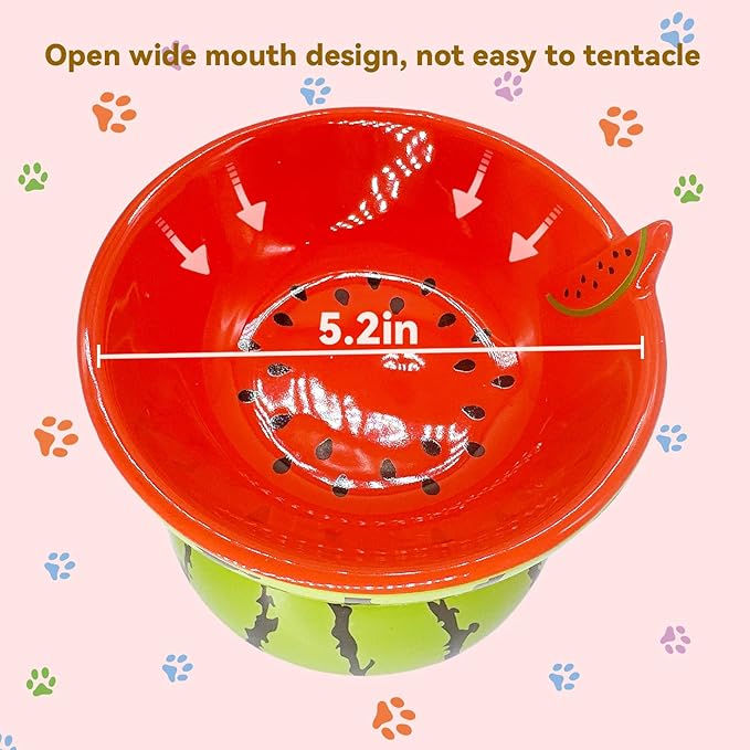 Hamiledyi Ceramic Raised Cat Bowl 5In Elevated Wide Cat Bowl for Food and Water Anti Vomiting Tilted Pet Feeder Dish for Indoor Cats and Small Dogs(Watermelon)
