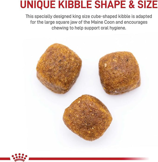 Royal Canin Maine Coon Breed Adult Dry Cat Food, 14 lb bag