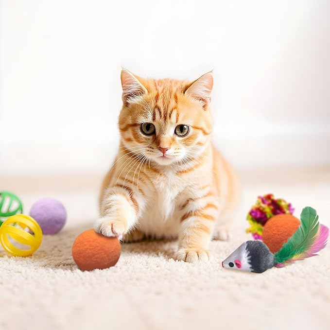 AGYM Cat Toys for Indoor Cats, 35 Packs Interactive Cat Toys Set with Colorful Springs, Mouse Cat Toy, Crinkle, Sisal, Pompom and Color Bells Balls for Kittens