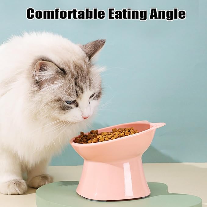 GKYZBB Elevated Cat Bowls, 15° Tilted Raised Cat Food Bowl Anti-Vomiting,Dog Kitten Food Dishes Pet for Cats and Small Dogs (Pink)