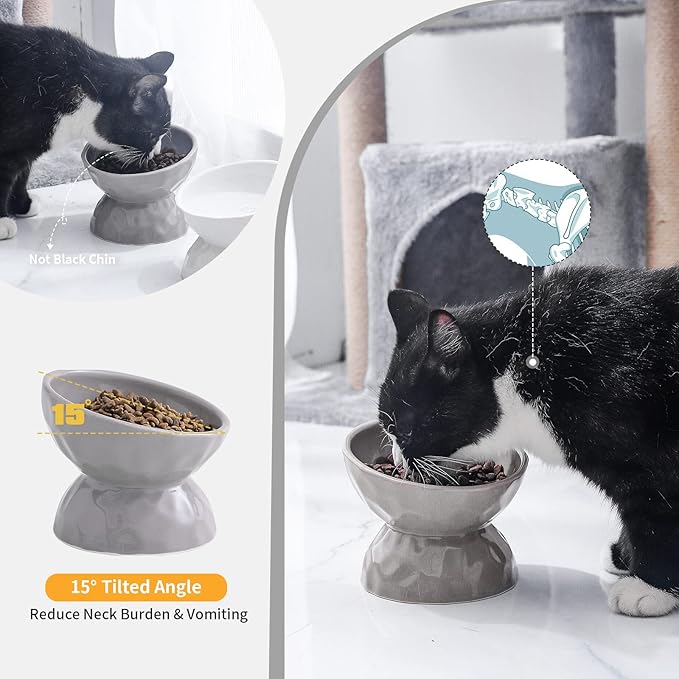 AOMRYOM Raised Cat Food Bowl, Ceramic Elevated Tilted Cat Bowls for Food and Water, Pet Bowl Dish Set for Cats and Small Dogs, Protect Cat's Spine, White & Grey, Set of 2