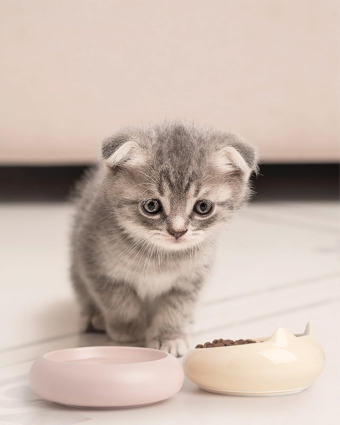 Cat Bowl, Ceramic Cat Bowls Food and Water Bowl Set, Whisker Friendly Cute Kitten Food Bowls for Protecting Pet's Spine, Yellow & Pink