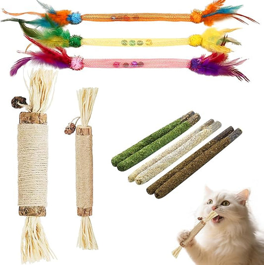 Cat Chew Toys, 11 Pack Kitten Catnip Toys Silvervine Sticks for Indoor Cats Teeth Cleaning, Interactive Treat Stretch Dental Chew Rope with Bell Feather