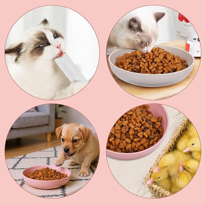 28 Pcs Whisker Fatigue Relief Cat Bowl, Shallow Wide Food Dish Cat Feeding Bowl for Kittens Ferrets, 5.5 Inch Wheat Straw, 4 Colors