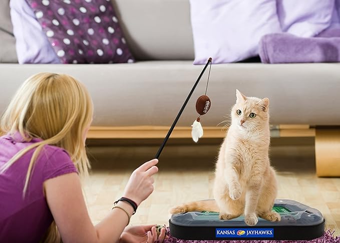Pets First CAT Scratcher & Plush Football Toy with Catnip, Feather & Jingle Bell Interactive Ball Cat Chasing 5-in-1 Kitty Toy