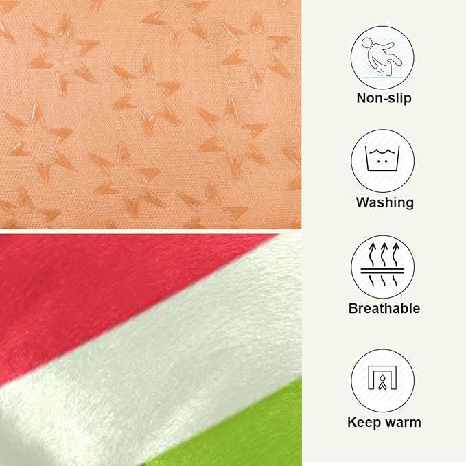 Watermelon Fruits Pet Bed Cute Dog Bed Mat Absorbing Non Slip Pad Pet Sleeping Mat for Small, Medium, and Large Dogs Puppy Cat 24 in x 18 in