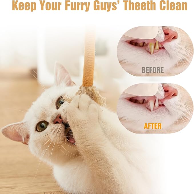 5 PCS Cat Chew Toy, 5.9in Catnip Toys for Cats, Teeth Cleaning Cat Toys for Indoor Kittens