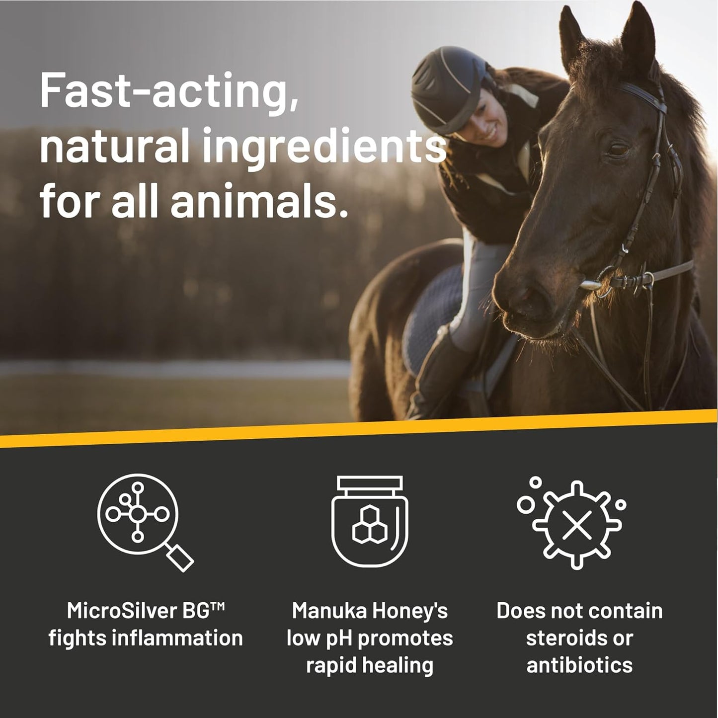 Absorbine Silver Honey Rapid Wound Repair Spray Gel 8oz Bottle, Manuka Honey & MicroSilver BG