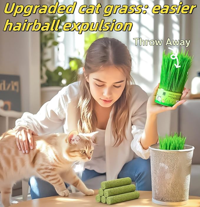 6Pack Cat Toys Cats Grass Treat Catnip Toy with Silvervine for Indoor Kitten Toys Wood Kitty Chew Rope Grass Sticks for Teeth Cleaning Kitten Snack for Catnip Dental Care Self Play