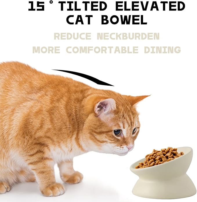 Ceramic Raised Cat Bowl, Cat Food Bowls Elevated Tilted, Ceramic Pet Bowl Whisker Friendly, Anti Vomit & Reduce Neck Burden for Food and Water (Cream-White)