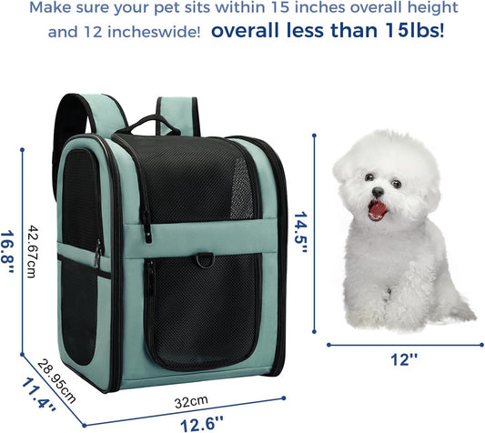 Apollo Walker Dog & Cat Carrier Backpack for 4-15lb Pets - Ventilated Safe Design with Padded Back Support, Breathable Mesh Pet Backpack for Hiking, Travel, Outdoor (Blue)