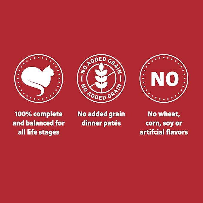 Amazon Brand - Wonder Bound Wet Cat Food, Paté, No Added Grain, 3 oz cans, Pack of 24 (Beef)