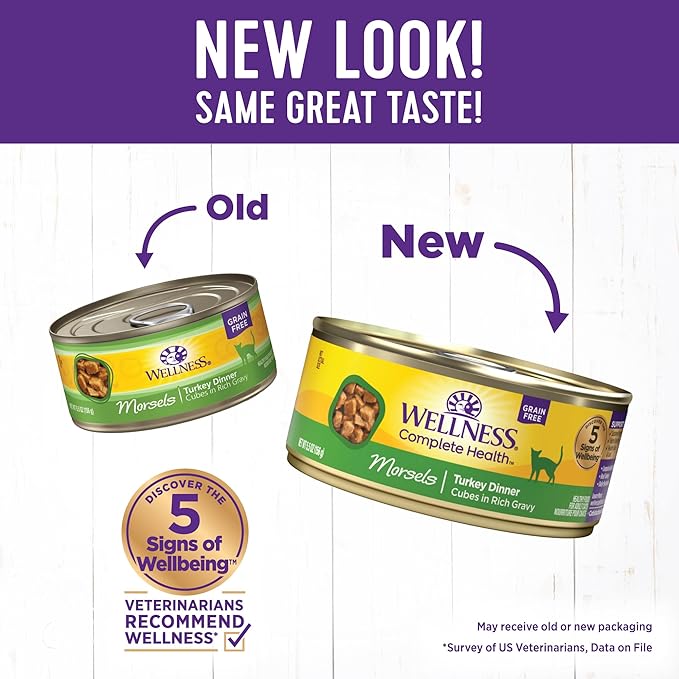 Wellness Complete Health Cubed Adult Wet Cat Food, Natural, Protein-Rich, Grain Free, 5.5 Ounce, 24 Pack, (Turkey Entrée)