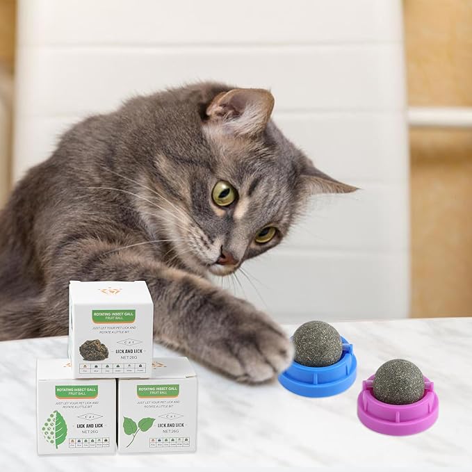 KIMOBER 6 Pack Catnip Ball for Cats,Edible Kitten Chew Toys with Catnip Silvervine Gall Fruit Flavors for Cats Lick Dental Teeth Cleaning Cats Wall Treats