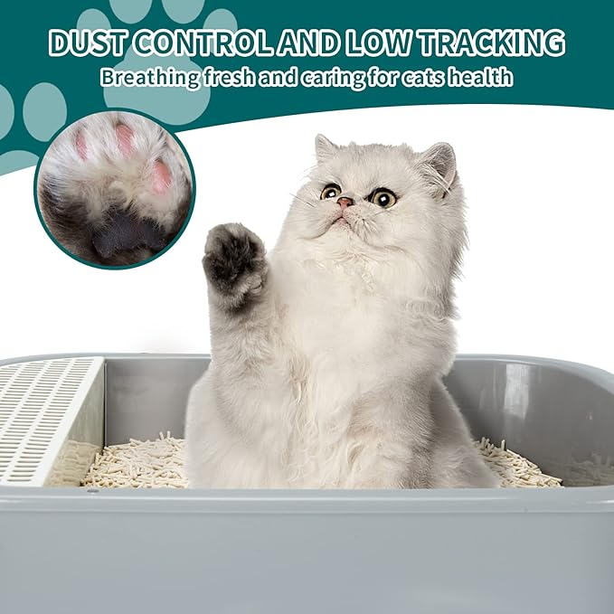 Plant-Based Cat Litter, Odor Control Quick Clumping Tofu Cat Litter, 6 lbs, Low Tracking Dust Control Lightweight Flushable Unscented Natural Kitty Litter