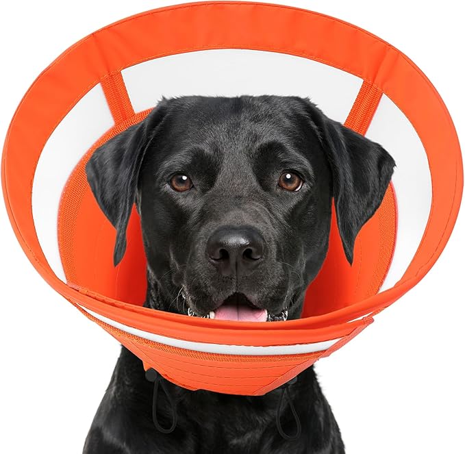 SAWMONG Soft Dog Cone Collar, Dog Cones for Large Dogs, Cone for Dogs to Stop Licking, E-Collar for Doggy After Surgery Adjustable, Comfy Elizabeth Pet Recovery Collar (L,Orange)