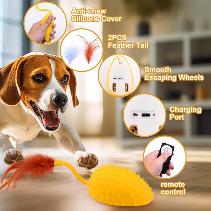 Mity rain Interactive Dog Toys, Remote Control Dog Toy with Feather Tail and Charger, Funny Dog Toys for Small Medium Dogs Outdoor and Indoor, Dog Toys to Keep Them Busy