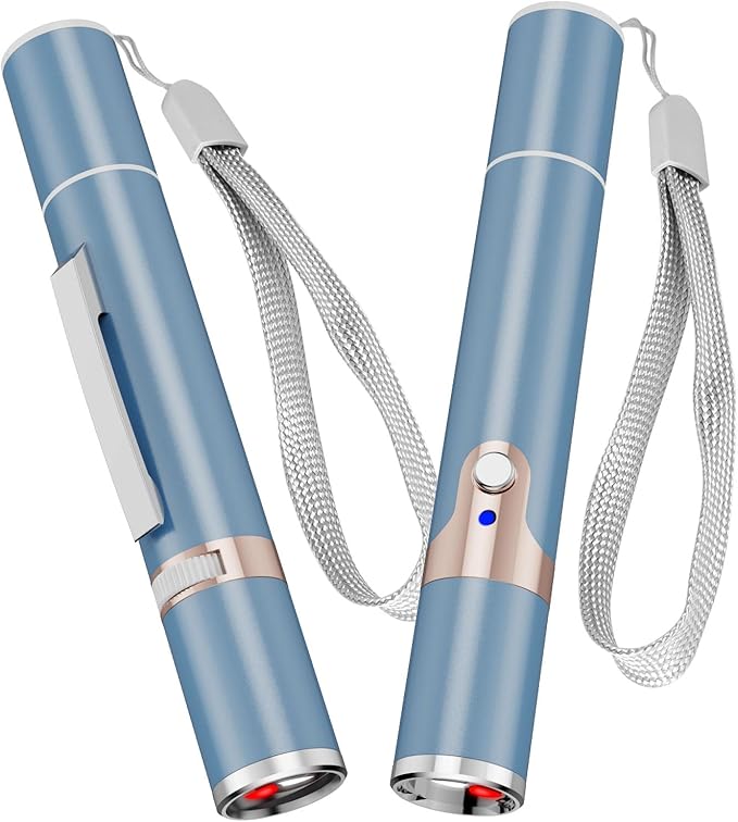 2 Pieces Cat Toy, USB Rechargeable, Long Range 5 Modes, Interactive Kitten Dog Cat Mouse Toy for Indoor (Sky Blue