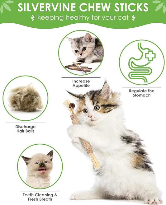 TINDTOP Cat Chew Toys, 12 Pack Silvervine Chew Sticks with 2 Pack Cage Balls for Kittens Teeth Cleaning, Matatabi Dental Care, Increase Appetite, Aggressive Chewers Cat Dental Toy