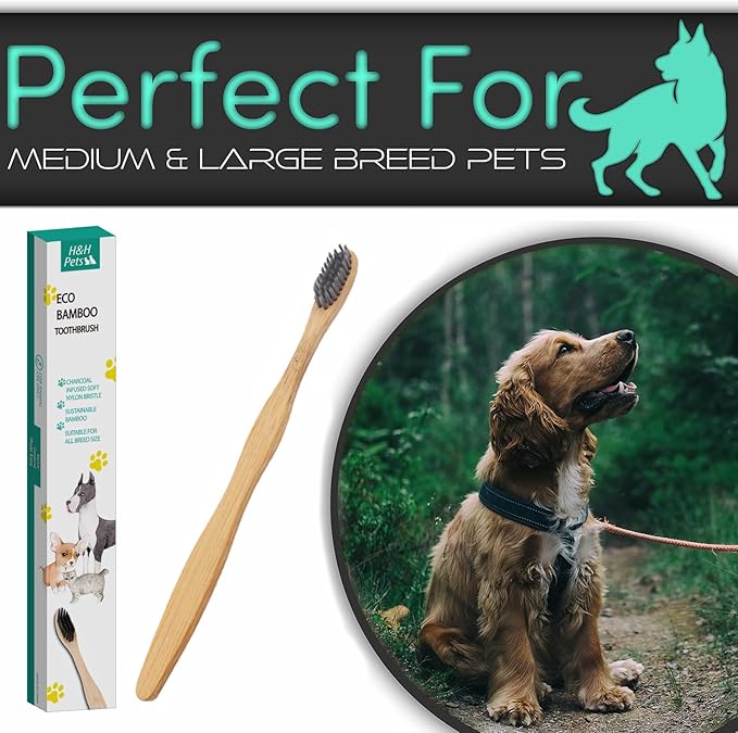 H&H Pets Bamboo Toothbrush Set for Dogs and Cats - Ultra Soft Bristles & Biodegradable Wooden Toothbrush, Puppy Supplies, Dog Dental Set, Eco-Friendly Pet Supplies (Large; 3-Count Pack)