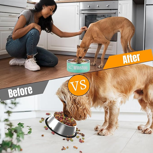 Custom Personalized Dog & Cat Bowls - Stainless Steel Non-Slip Water & Food Dishes - Easy to Clean, Dishwasher Safe - Small, Medium, Large Sizes (Green)