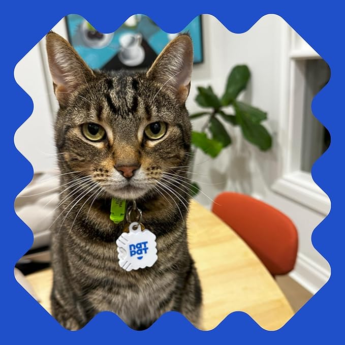 NATPAT Pet Zen Calming Patches for Dogs & Cats – Non-Medicated Effective Stress Relief for Travel, Fireworks & Separation Anxiety - Long Lasting & Non-Toxic (24 Patches) - Locket Sold separetely