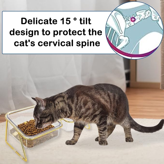 2PCS Elevated Double Cat Bowls,5.7" Pets Water and Food Bowl 15°Tilted Transparent Raised Kitten Food Feeding Dishes with Iron Stand Anti Slip Kitty Dishs Rose Gold Bowl Set for Kittiens