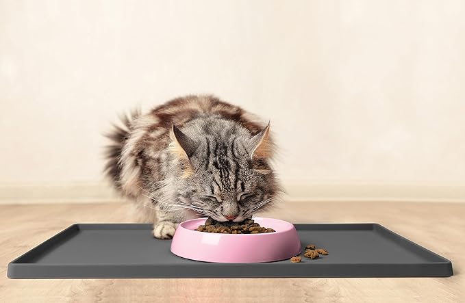 CatGuru Cat Bowls, Whisker Friendly Cat Food Bowl for Indoor Cats, Reliefs Whisker Fatigue, Wide Pet Bowl, Non Slip Pet Feeding Bowls, Shallow Kitten Dish (Set of Two, Pink)