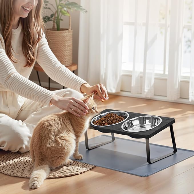 Elevated Cat Food Bowls with Mat Whisker Friendly, 15°Tilted Black Raised Cat Water Dishes Set for Anti Vomit, Pet Holder Stand Feeding Station for Indoor Kitten and Puppy