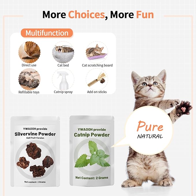 Cat Toys, 6 Silvervine Chew Sticks & 1PCS Organic Catnip & 1PCS Silvervine Powder, Cat Dental Toys for Kitten Teeth Cleaning, Matatabi Cat Toy