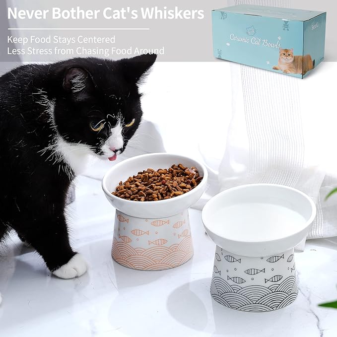 OMAYKEY Ceramic Raised Cat Bowls, Elevated Tilted Cat Food and Water Bowls Set, Porcelain Stress Free Pet Feeder Dish for Kitty Cats and Small Dogs, Dishwasher and Microwave Safe, Set of 2
