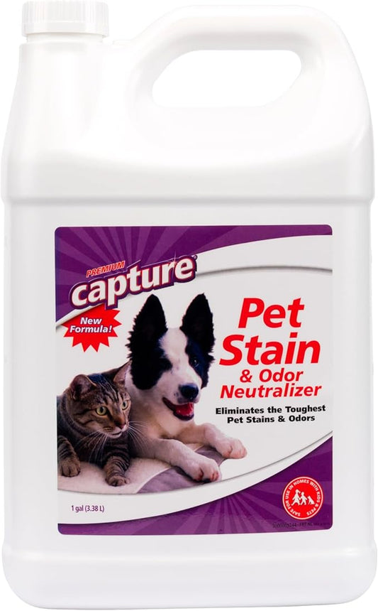 Capture Pet Stain & Odor Remover - Enzyme Pet Odor Eliminator for Home, Carpet Stain Remover for Cats & Dog Pee, Cat Urine Destroyer, Carpet Cleaner Spray - 1 Gallon Bottle
