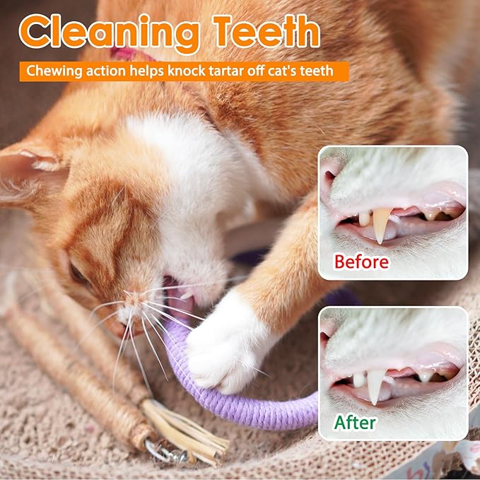 Tocirelo Cat Chew Rope Toy - 6Pack Cat Chew Toy for Teeth Cleaning, Interactive Kitten Teething Toys to Transfer Chewing from Wires, Cotton String with Natural Silvervine Ball