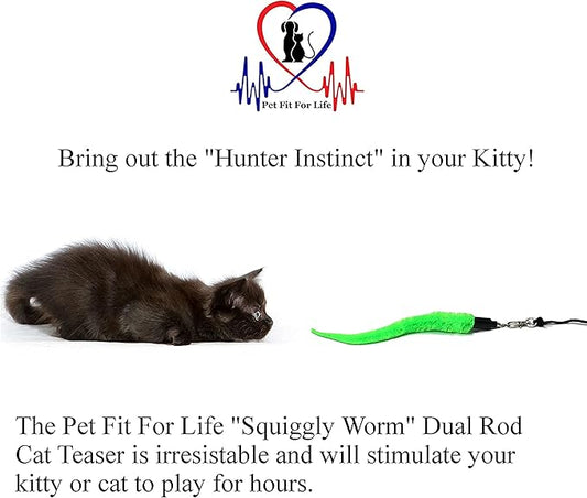 Pet Fit For Life Cat Wand Toy: 5-Piece Worm Teaser & Exerciser - Durable Flirt Pole/Cat Teaser Toy – Interactive Fun for Feline Fitness