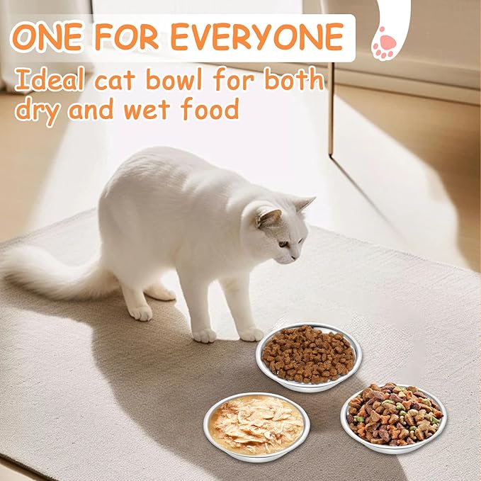 10 PCS 304 Stainless Steel Cat Bowls, Small Metal Pet Food Bowl (5.5in Diameter)