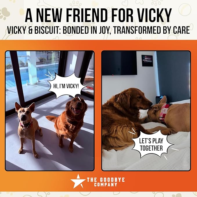 Hemp Oil for Dogs and Cats - 100% Organic Cold Pressed Oil - Made in The USA (30 mL)