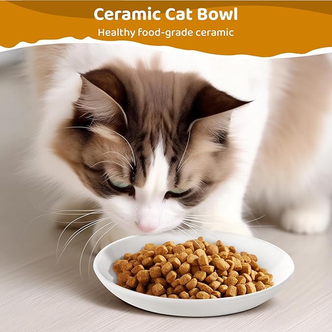 Ceramic Cat Food Plates: Cat Wet Food Bowls/Whisker Fatigue Cat Dishes & Shallow Bowls for Kittens and Small Animals