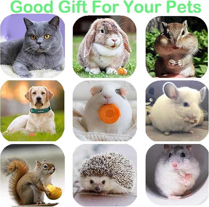 Cat Toys 10Pack Kitten Silvervine Toy Indoor Catnip Toys Kitty Chew Stick with Feather Kitten Treat for Teeth Cleaning Dental Mint Snack Molar Wood Food for Bordrom Exercise Interactive