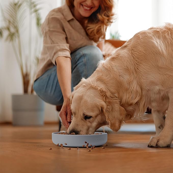 Coomazy Large Silicone Slow Feeder Dog Bowls, Interactive Puzzle Toy for Pets Food Training, Keeps Dogs Busy, Prevents Puppy Overeating (Smoke Gray, Large: 3.2Cup)