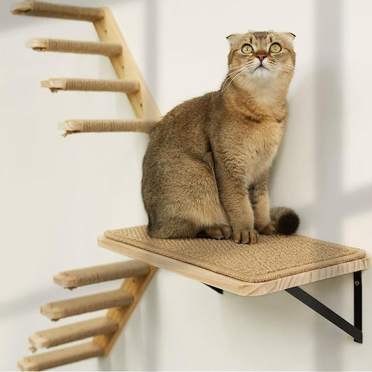 Strong Cat Shelves Stairs for Wall Mounted, 1P Cat Shelf& 2PCS 4 Steps Stairway with Sisal Rope Scratching for Cats Perch Platform, Wall Ladder Furniture