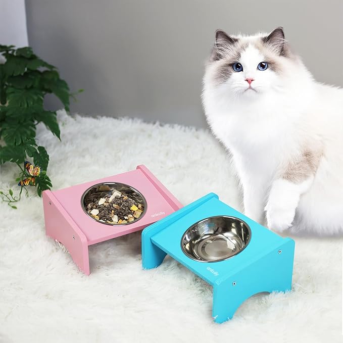 Elevated Cat Bowls,2 Stainless Steel Pet Food Water Feeder,15°Tilted Raised Pet Dish, Slanted Dog Bowl with Wood Stand for Kitty and Puppy,Wide 5.51" (Pink)
