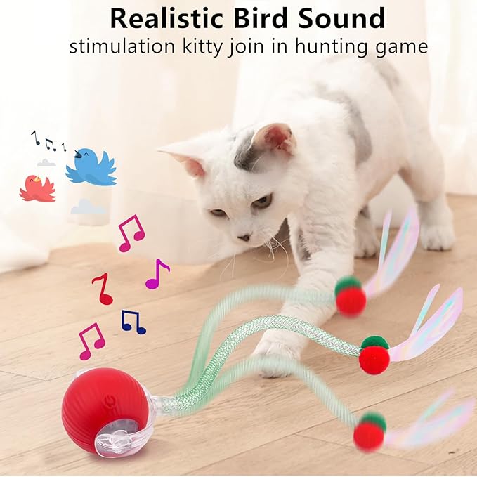 Interactive Cat Toy Balls, Automatic Rolling Cat Ball for Indoor Cats with Bird Chirping Sound & 3 Modes, Rechargeable USB Kitten Toys for Indoor Cats, 2 Fun Flexible Tails Stimulate Hunting Instincts