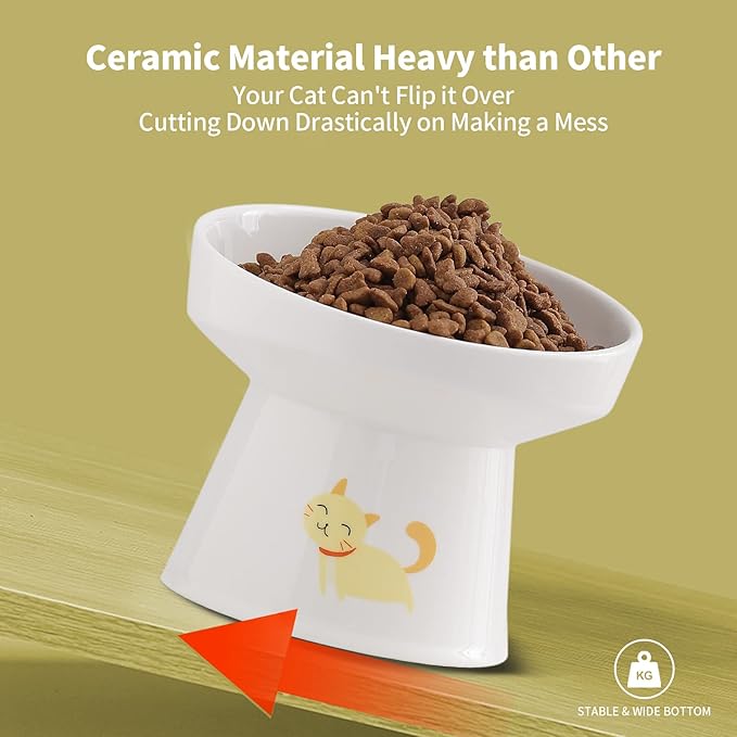 AOMRYOM Elevated Tilted Cat Bowl Set, Ceramic Feeder Bowls for Cats and Small Dog, Porcelain Raised Pet Dish, Stress Free, White, Set of 2