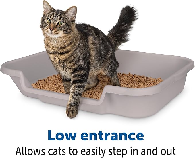 KittyGoHere Senior Cat Litter Box 1 Pack, Large Misty Gray Low Entrance Kitty Litter Box, Sized for Cats Comfort, Perfect for Senior and Arthritic Cats, Made in USA